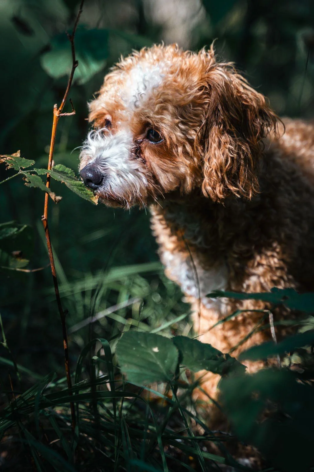 Tiere & Outdoor – Menschen draußen