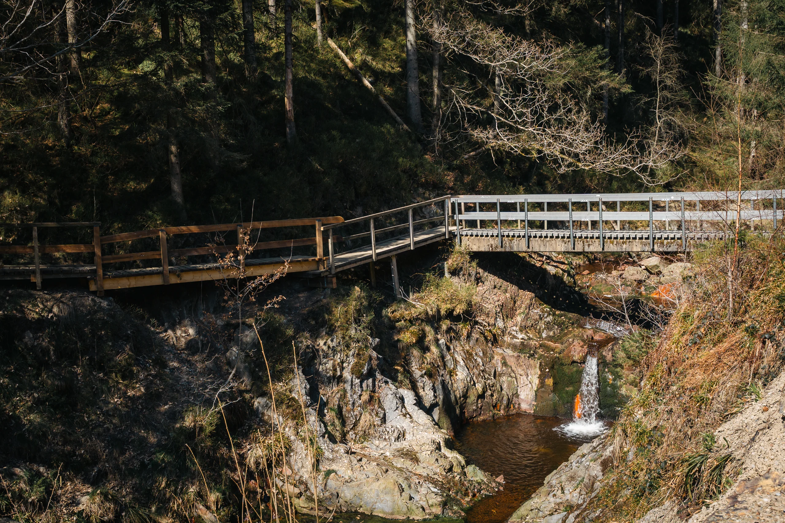 Tiere & Outdoor – Wald